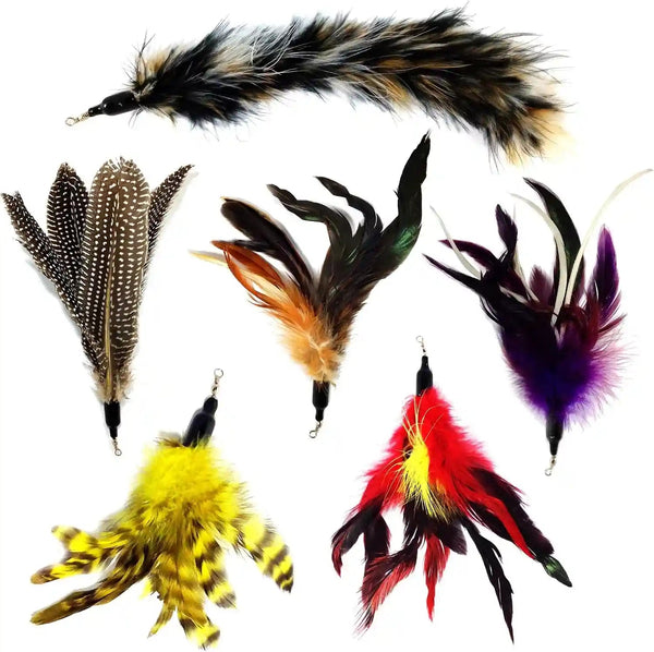 Pet Fit for Life 5 Piece Replacement Pack of Worms for Cat and Kitten Toy | Replacement for Interactive Wand & Catch Wand with 5 Assorted Soft Squiggly Worm Attachments. Easy Storage after Play.8