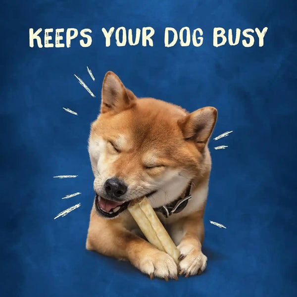 Purina Busy Rawhide Small/Medium Breed Dog Bones, Rollhide - 9 Ct. Pouch2