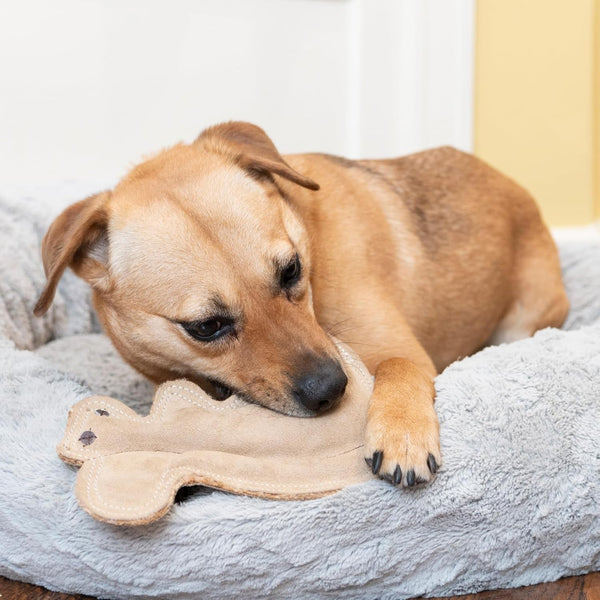 SPOT Dura-Fused Leather Squirrel Dog Toy – Real Leather & Jute Fabric, Double-Stitched & Durable, Soft Stuffed Squeaky Interactive Chew Toy for Moderate Chewers, Small & Medium Dogs, 8In6