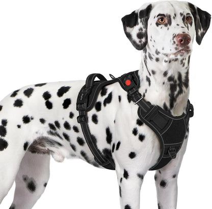 Eagloo Dog Harness No Pull for Large Dogs, Easy on & off with 3 Buckles | No Choke with Front Clip, Adjustable Fit, MOLLE System, Reflective Vest, Easy Control for Walking, Black, Large10