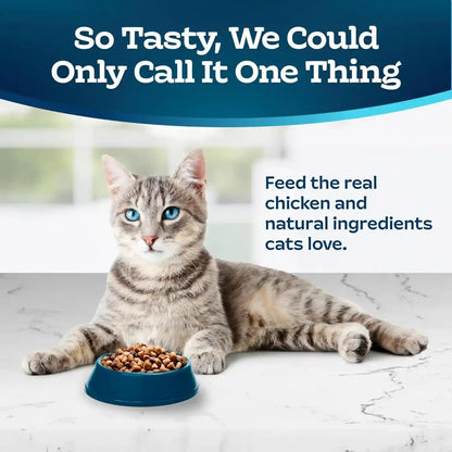Blue Buffalo Tastefuls Mature Dry Cat Food for Adult Cats 7+, Made in the USA with Natural Ingredients, Chicken & Brown Rice Recipe, 3-Lb. Resealable Bag3