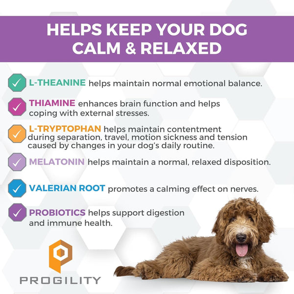 Progility Calming Aid with Melatonin for Dogs, Stress & Situational Support | 90 Soft Chews, Supports Calm Behavior for Storms, Fireworks, Travel, Vet Visits, Easy to Serve Daily Supplement2