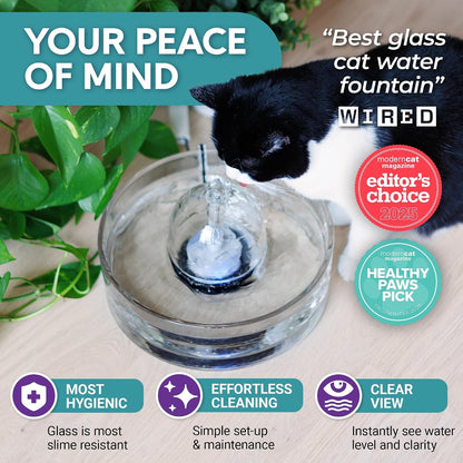 Brook Glass Cat Water Fountain 90Oz – Dishwasher Safe Pet & Dog Fountain | Automatic 2.7L Drinking Water Dispenser – Quiet, Easy to Clean Glass Bowl, Filters Included – for Indoor Cats, Kittens & Dogs3