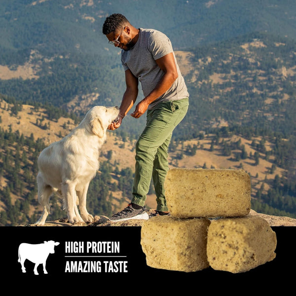 ORIJEN WHOLEPREY Freeze Dried Dog Treats Original Recipe, 3.25Oz Bag | 99% Animal Ingredients, Freeze Dried, High Protein, Made in the USA, Nourishing Organs, Global Quality Ingredients3