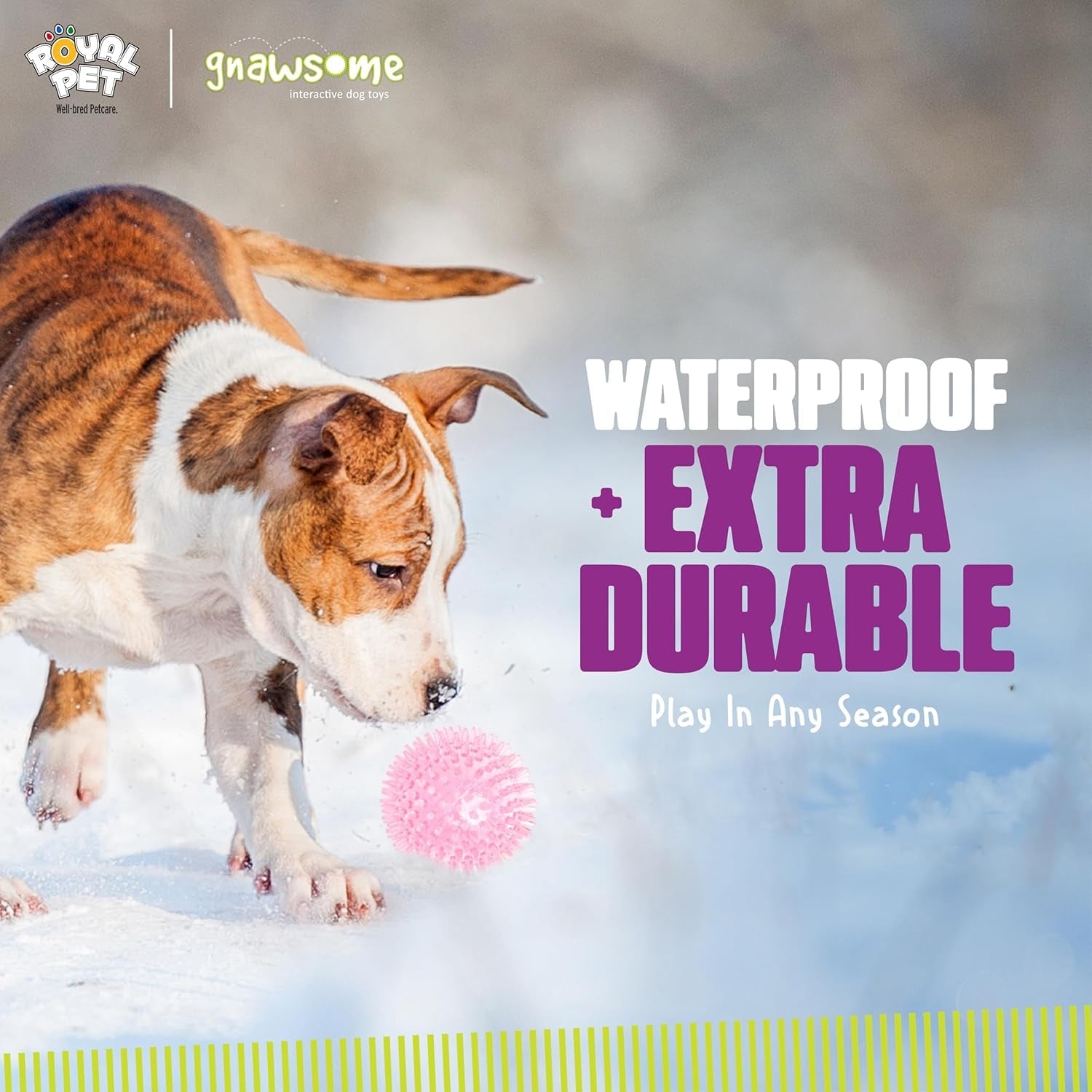 gnawsome-medium-squeaker-ball-dog-toy-medium-3-5-colors-will-vary-all-breed-sizes