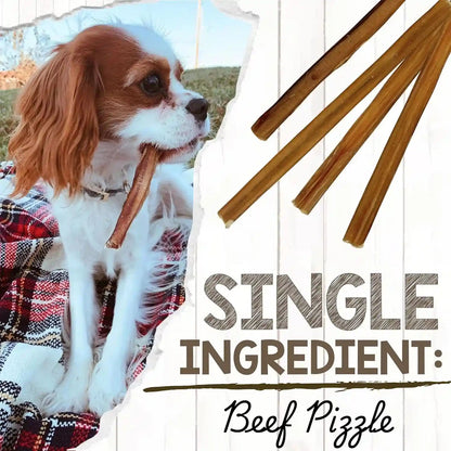 Nature Gnaws Extra Thin Bully Sticks for Small Dogs 5-6" (10 Count) - Long Lasting for Light Chewers and Puppies - Natural Beef Dog Chew Bones3