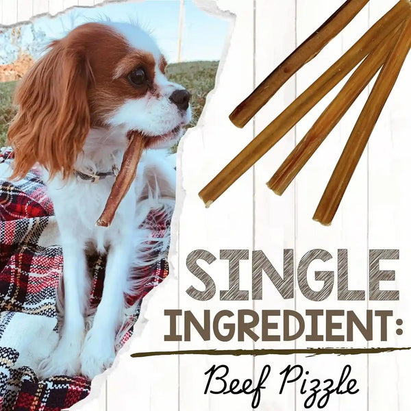 Nature Gnaws Extra Thin Bully Sticks for Small Dogs 5-6" (10 Count) - Long Lasting for Light Chewers and Puppies - Natural Beef Dog Chew Bones3
