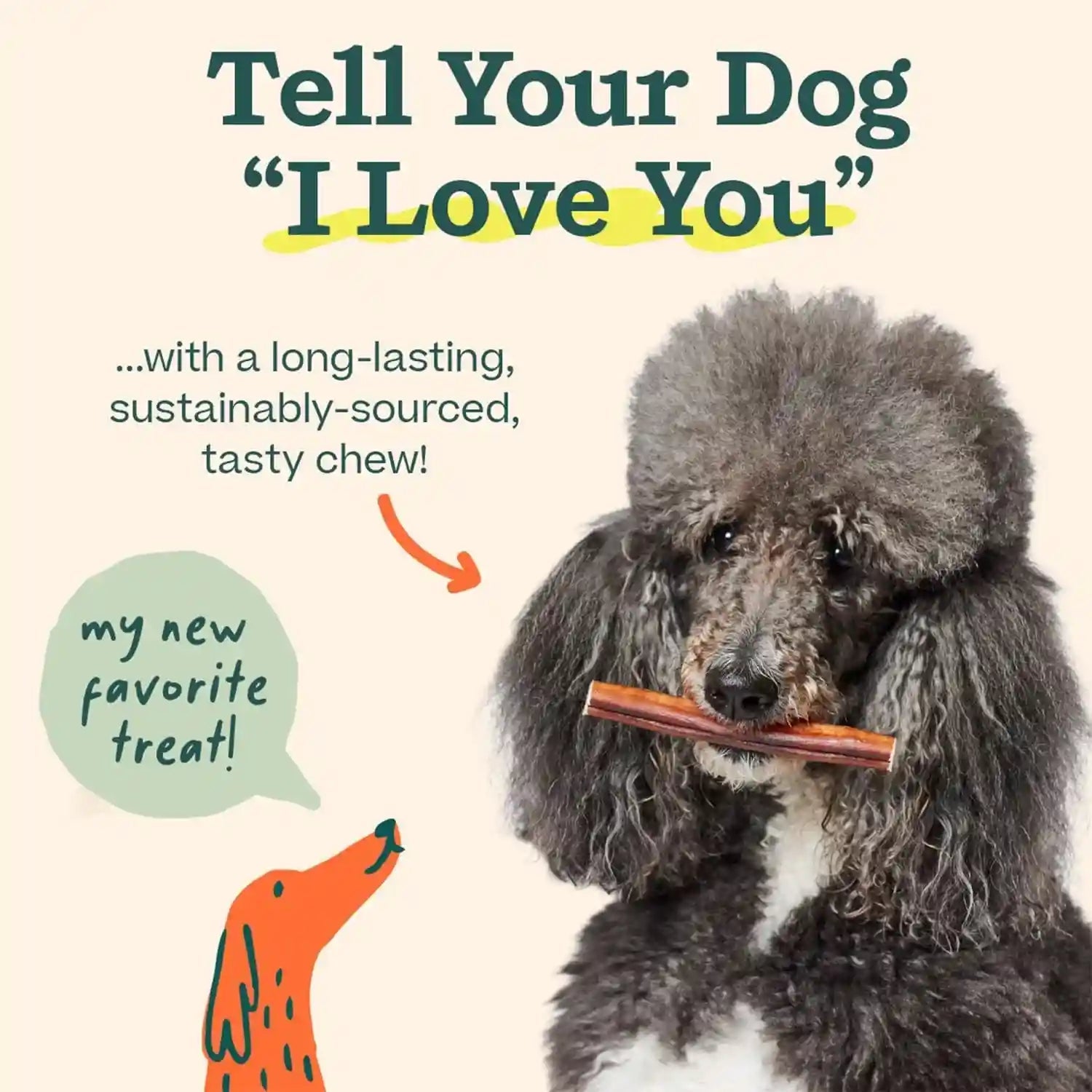 woof-bully-sticks-dog-treats-chew-sticks-for-dogs-long-lasting-dog-chew-treats-made-with-free-range-grass-fed-beef-6-sticks-10pk