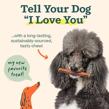 WOOF Bully Sticks Dog Treats - Chew Sticks for Dogs - Long-Lasting Dog Chew Treats - Made with Free-Range, Grass-Fed Beef - 6" Sticks - 10Pk6