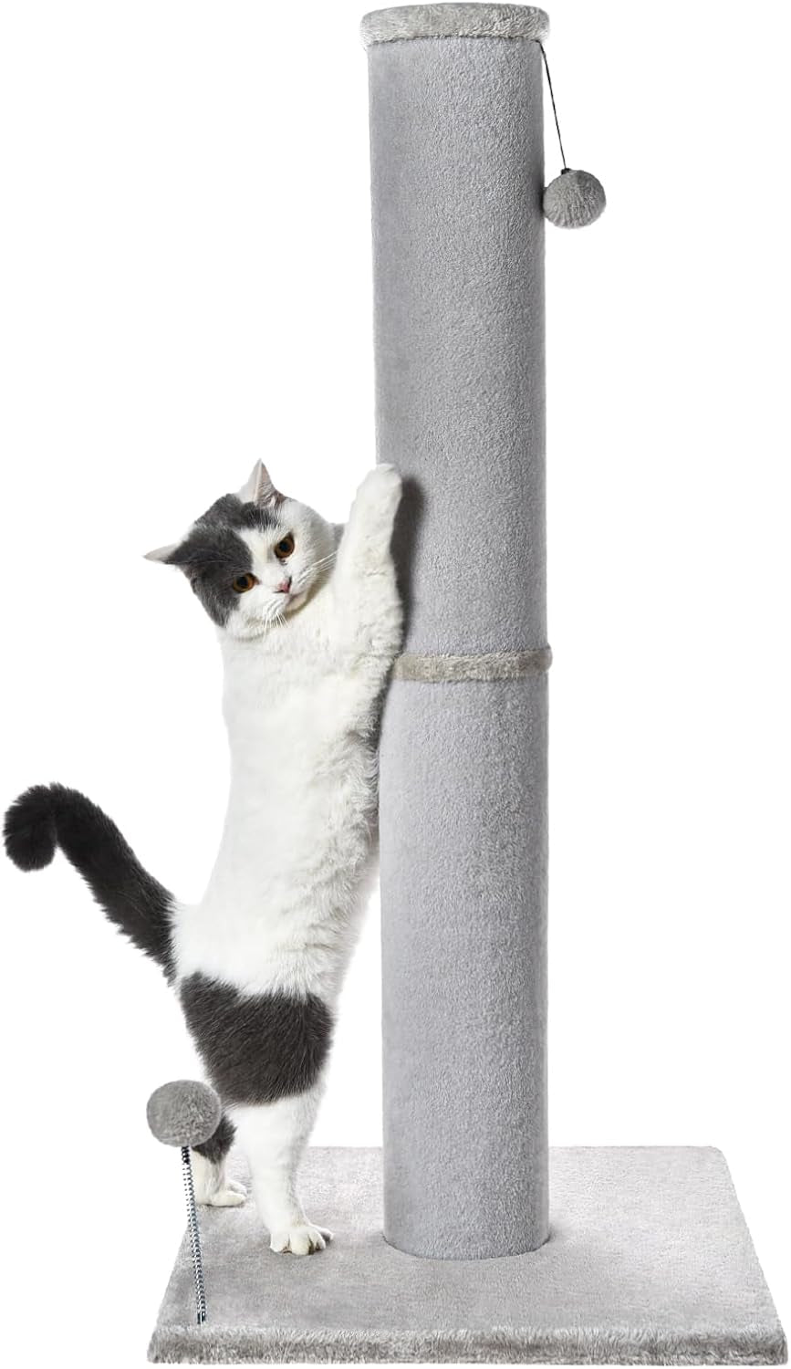 cat-craft-cat-scratching-post-carpet-scratching-post-41-for-indoor-cats-tall-cat-scratch-post-carpet-cat-scratcher-with-replaceable-toys-sturdy-base-large-gray-41in-tall-short-plush-scratch-post-stable-base-interchangeable-play-toys-for-indoor-cats-to-avoid-furniture-scratching