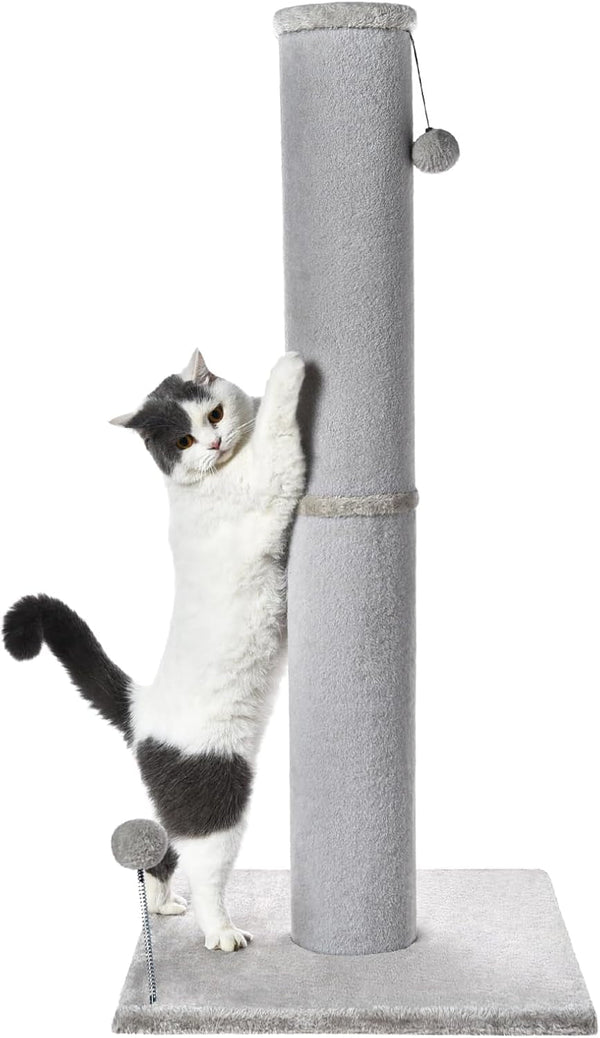 Cat Craft Cat Scratching Post Carpet Scratching Post 41" for Indoor Cats, Tall Cat Scratch Post, Carpet Cat Scratcher with Replaceable Toys, Sturdy Base, Large, Gray | 41In Tall Short Plush Scratch Post, Stable Base, Interchangeable Play Toys, for Indoor Cats to Avoid Furniture Scratching9
