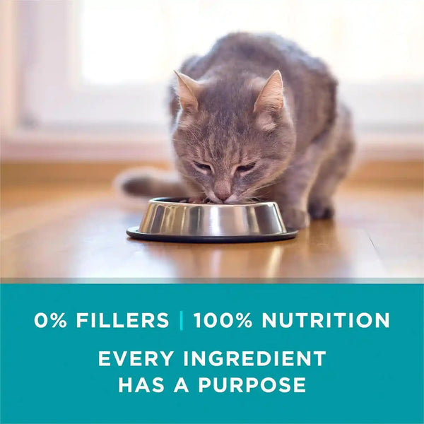 Purina ONE Natural, High Protein Cat Food Variety Pack, Turkey, Chicken and Tuna Recipes - (2 Packs of 12) 3 Oz. Cans9