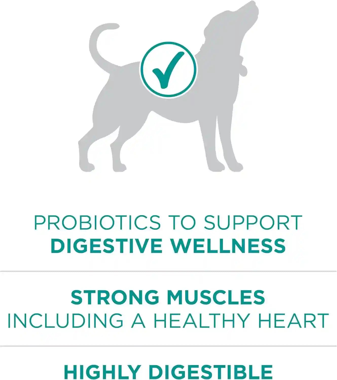 purina-one-plus-digestive-health-formula-dry-dog-food-natural-with-added-vitamins-minerals-and-nutrients-31-1-lb-bag