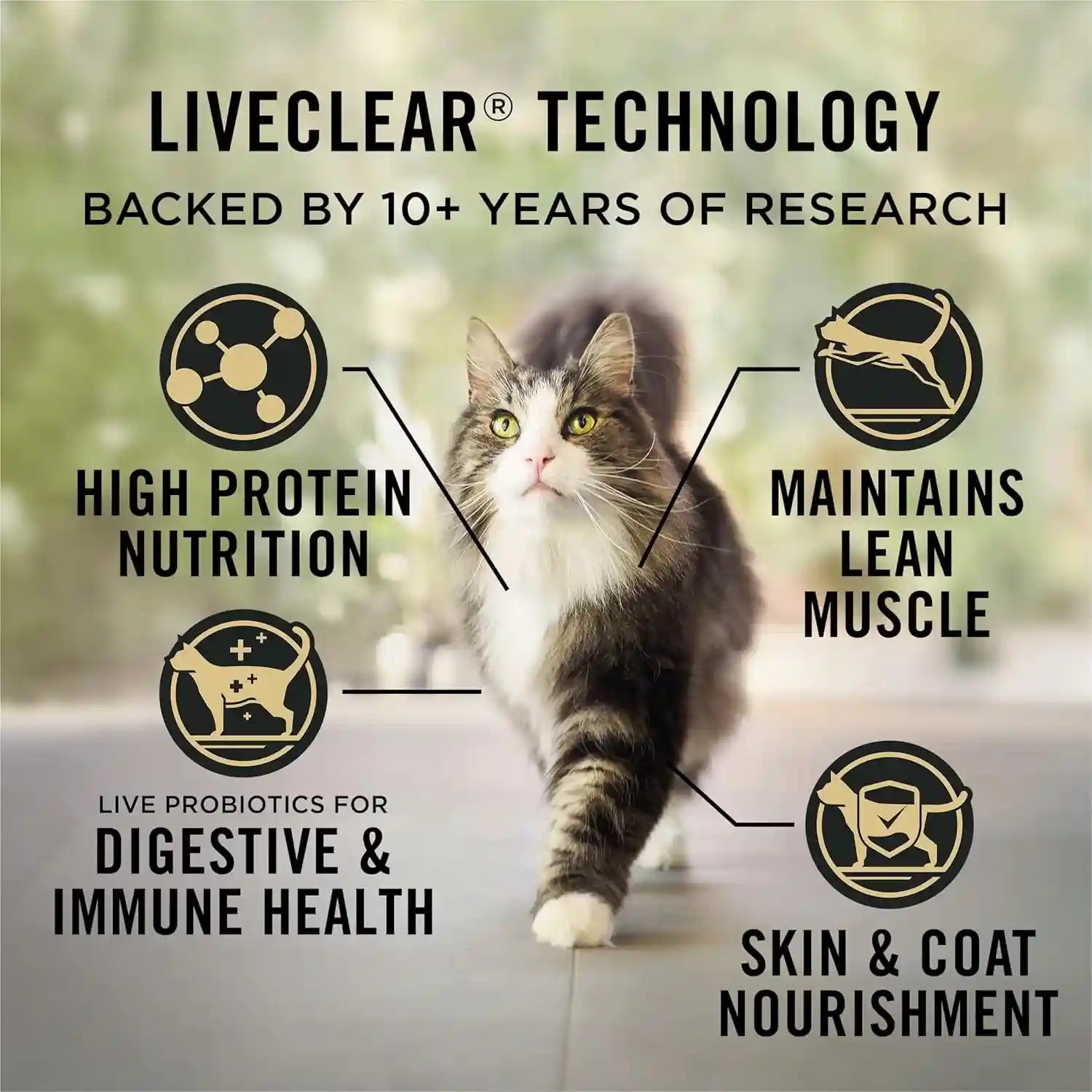 purina-pro-plan-indoor-cat-food-liveclear-cat-allergen-reducing-turkey-and-rice-formula-5-5-lb-bag