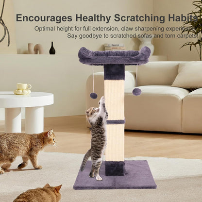 34" Cat Scratching Post for Indoor Cats, Sisal Cat Scratcher with Large Plush Perch, Vertical Posts with Elevated Bed and with Two Dangling Balls, Removable & Washable Cover, Dark Grey3