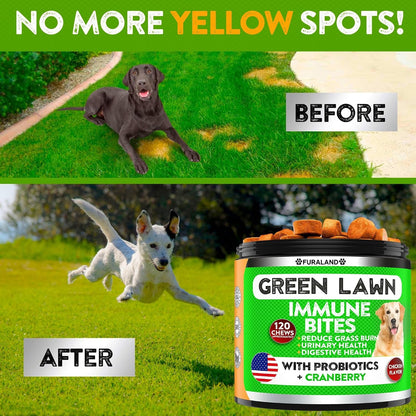 FURALAND Grass Burn Spot Chews for Dogs - Dog Pee Lawn Spot Saver Caused by Dog Urine - Grass Treatment Rocks - Dl-Methionine + Digestive Enzymes - Dog Urine Neutralizer for Lawn - Soft Treats2