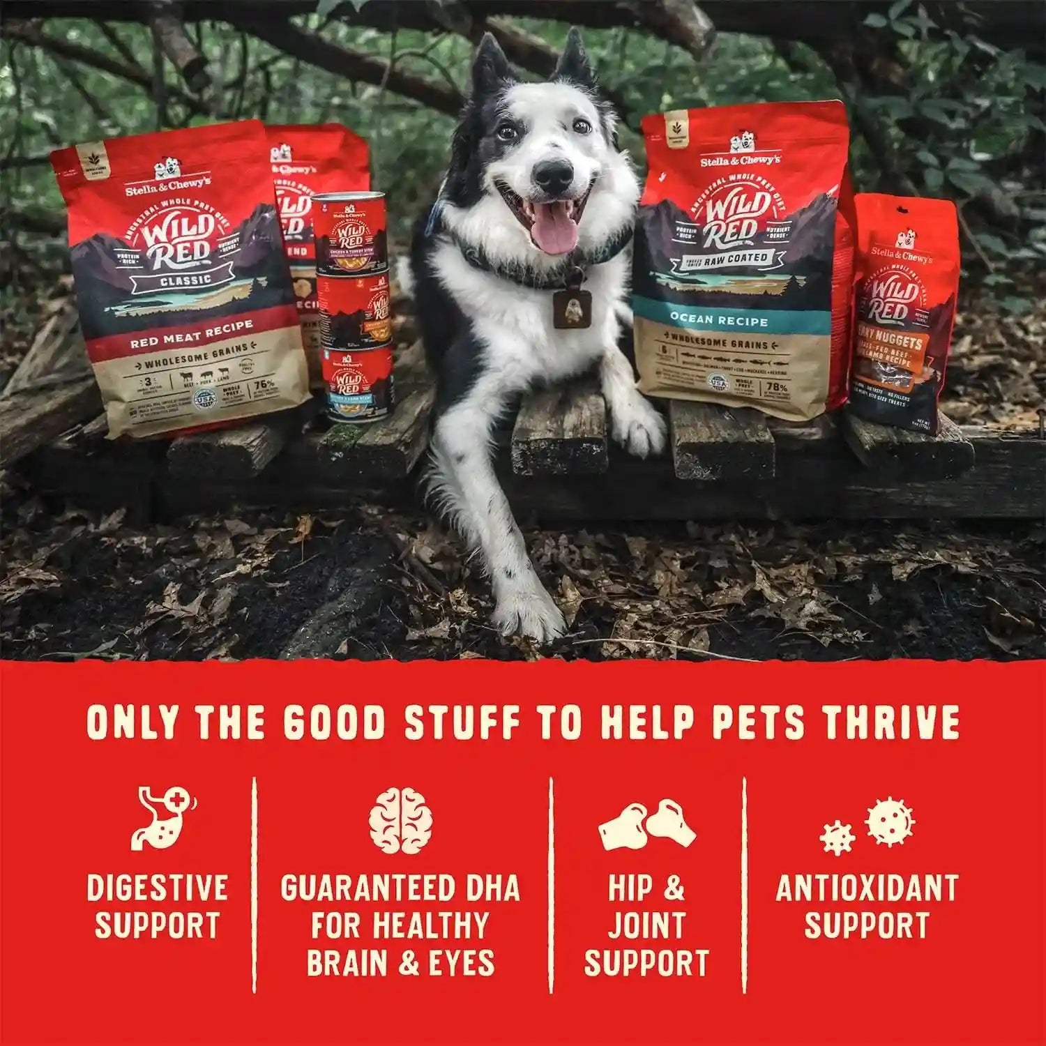 stella-chewys-wild-red-blend-gf-red-meat-dry-dog-food-3-5-lb