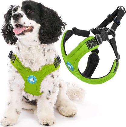 Gooby Escape Free Sport Harness - Red, Medium - No Choke Step-In Patented Neoprene Small Dog Harness with Four-Point Adjustment - Perfect on the Go Dog Harness for Medium Dogs No Pull and Small Dogs8