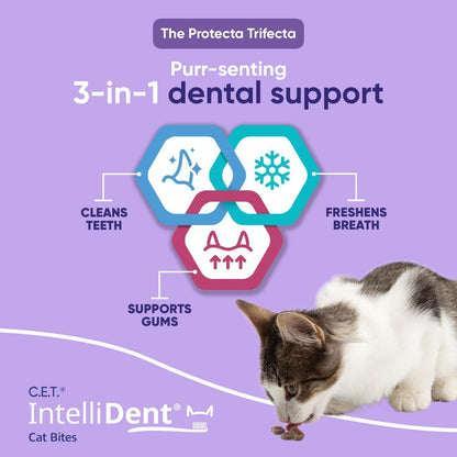 Virbac C.E.T. Intellident Cat Bites for Dental Care | Crunchy Cat Bites for Tartar Control, Supports Healthy Teeth and Gums, Chicken Flavor Bites, Cat Oral Care Hygiene5