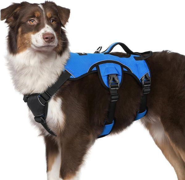 Rabbitgoo Escape Proof Dog Harness for Large, No Pull with Lift Handle | No Escape, Full Soft Padded, Reflective Adjustable Vest, Leash Clip for Walking Hiking Training, Black, Large50