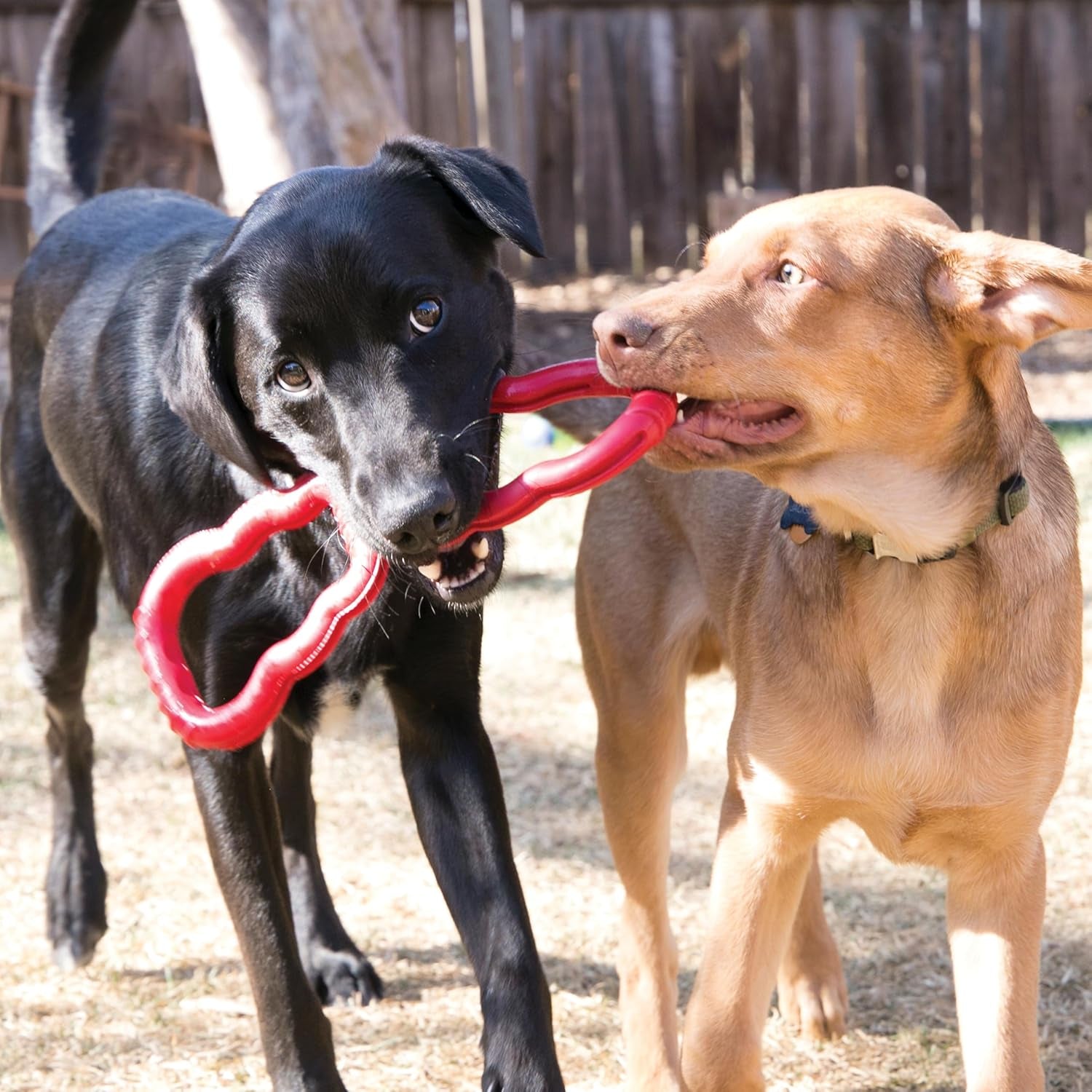 kong-tug-toy-dog-supplies-for-tug-of-war-natural-rubber-dog-toy-for-outdoor-indoor-playtime-for-medium-large-dogs