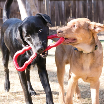 KONG Tug Toy - Dog Supplies for Tug of War - Natural Rubber Dog Toy for Outdoor & Indoor Playtime - for Medium/Large Dogs2