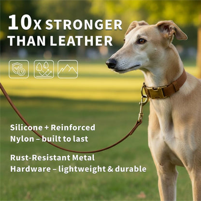 B&F Dog Collar and Leash Set,Leather Silicone Waterproof Odor-Proof Dog Collar and Leash for Medium Dogs, Soft Flexible Dog Collars, Adjustable Pet Collar (Brown, Medium (12.5-20" Neck))2