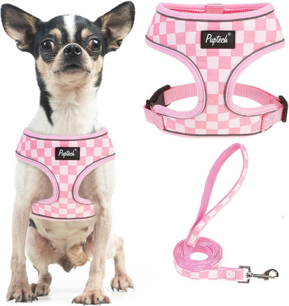 PUPTECK Soft Mesh Dog Harness Small Sized and Leash Set Pet Puppy Cat Comfort Padded Vest No Pull Harnesses, Beige, S62