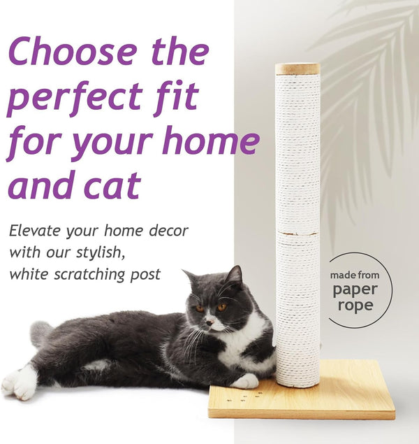 Necoichi 23.6” Tall Cat Scratching Post Kitten Scratcher Paper Rope Scratch Posts Trees with Hanging for Indoor Cats (23.6 Inches for Kitty, Regular, Oak)2