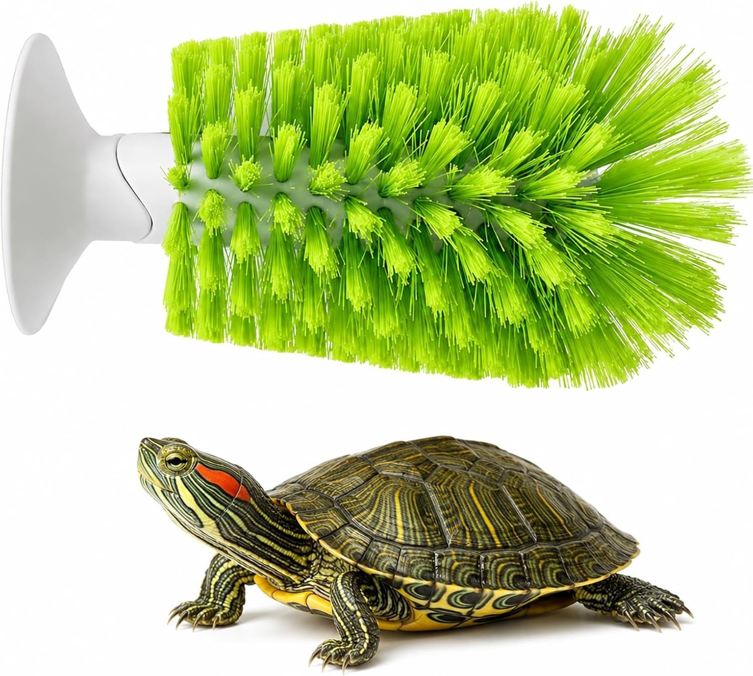 turtle-scrub-brush-turtle-scratches-back-brush-turtle-shell-clean-brush-with-suction-cup-turtle-exfoliate-brush-tank-tortoise-brush-for-remove-turtle-shell-scutes-mud-dirt