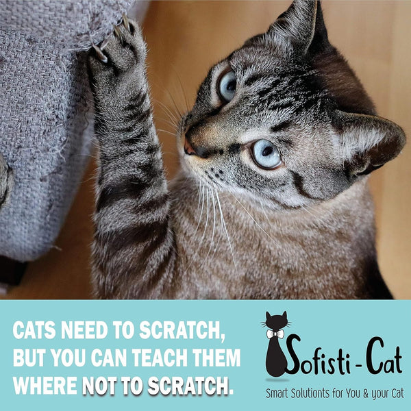 Training Tape, Cat Tape for Furniture, Scratch Deterrent Keep Cats from Scratching Furniture with Our Double -Sided Repellent, 2.5" X 15' Roll3