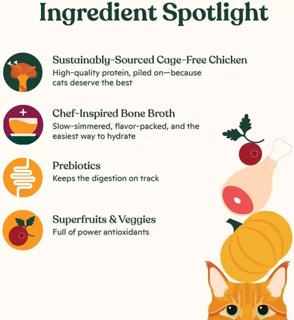 Made by Nacho Dry Cat Kibble 4Lb Bag, High Protein and Grain-Friendly Premium Cat Food, Cage-Free Chicken & Pumpkin Recipe, Infused with Bone Broth for Hydration, Limited Ingredients, Single Bag4