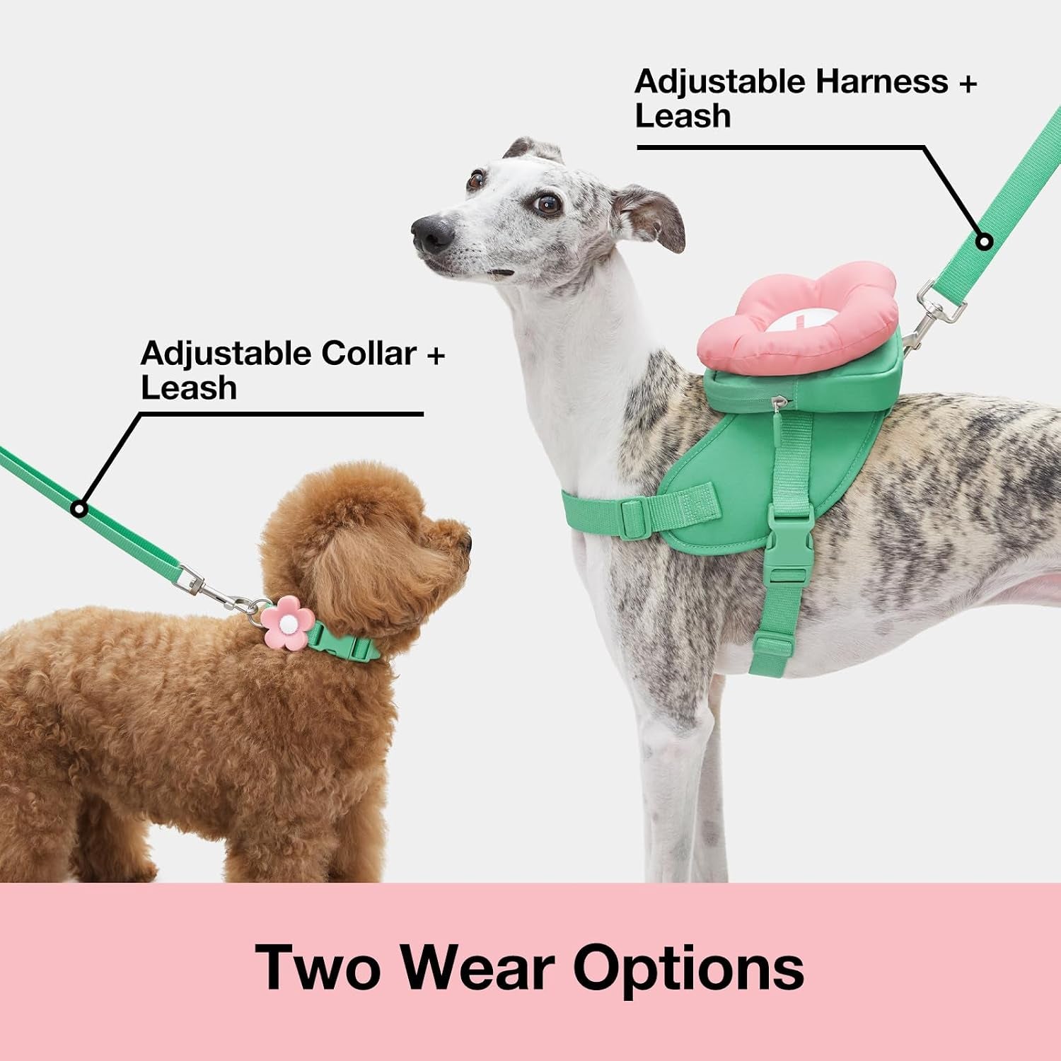 vetreska-flora-dog-harness-leash-and-collar-set-no-pull-vest-harness-l-for-walking-and-training-adjustable-easy-control-and-soft-padded-pet-harness-and-backpack-for-small-medium-large-dogs