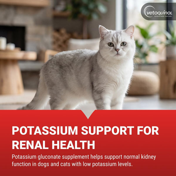 Vetoquinol Renal K - Potassium Supplement for Dogs & Cats - Supports Managing Potassium Levels - Palatable Gel with Maple Flavor - 5Oz2