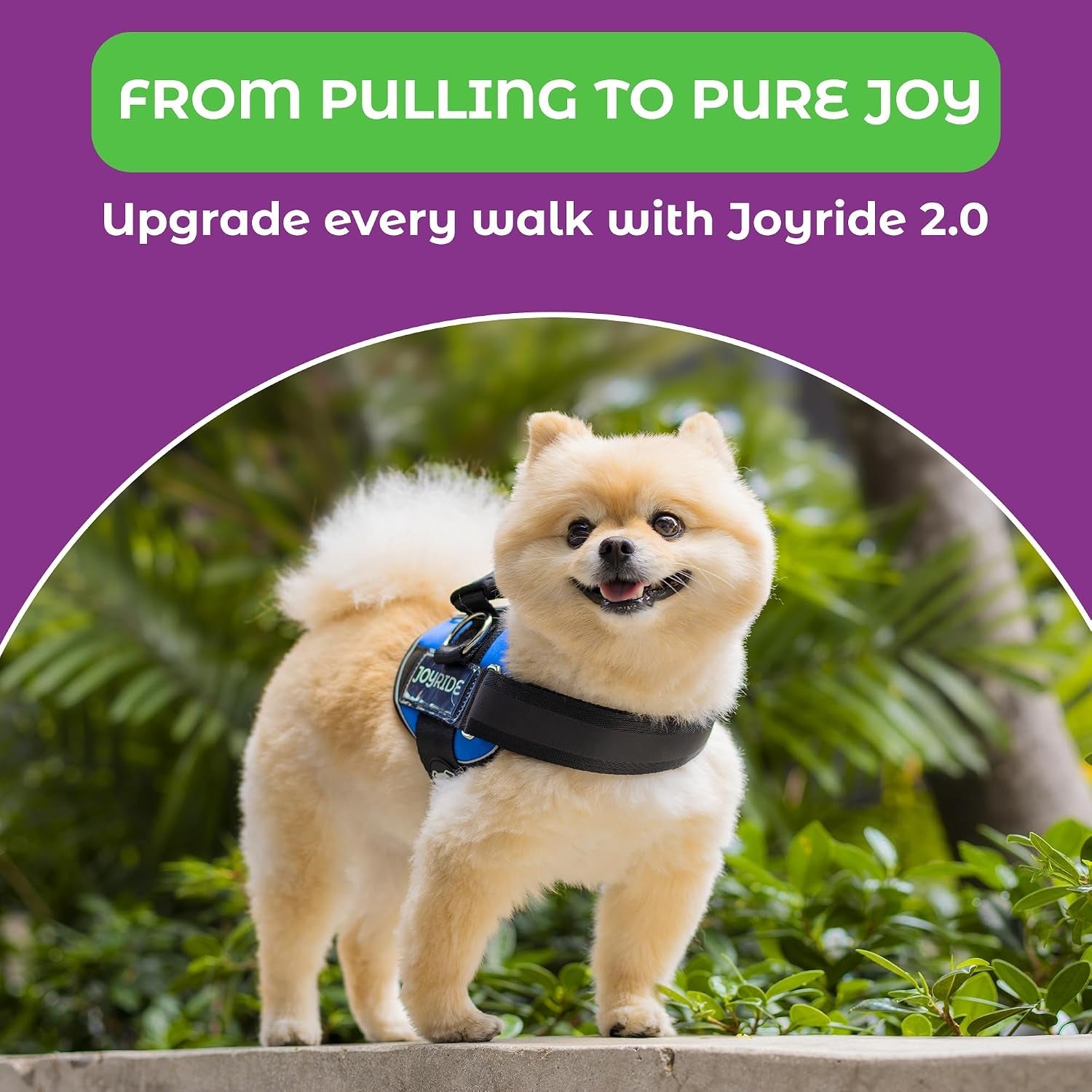 joyride-dog-harness-2-0-no-pull-blue-2-0-m-reflective-no-choke-quick-fit-vest-with-3-leash-clips-and-escape-resistant-design-for-easier-walks-and-training