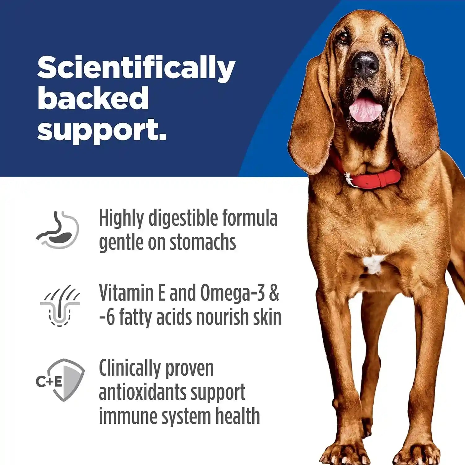 hills-science-diet-sensitive-stomach-skin-large-breed-dry-dog-food-1-veterinarian-recommended-adult-formula-chicken-recipe-30-lb-bag