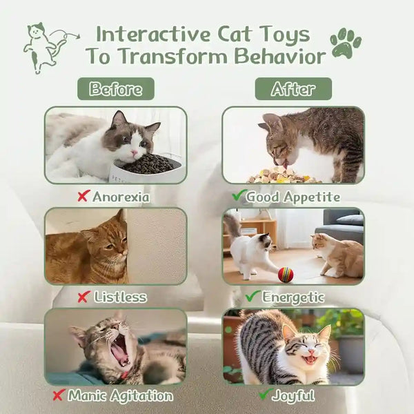 Cat Toys 33 Pack - Delightful Interactive Variety Set for Cats & Kittens with Catnip Toy, Crinkle Balls, Cat Ball Toys, Springs to Reduce Anxiety & Destructive Behaviour7
