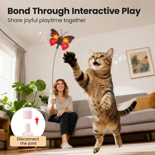 Potaroma Interactive Spinning Butterfly Cat Toy Wand, Rechargebale | Automatic Self-Play & Handheld Mode, Electric Touch Activated Cat Teaser with Suction Cup for Indoor Kittens6