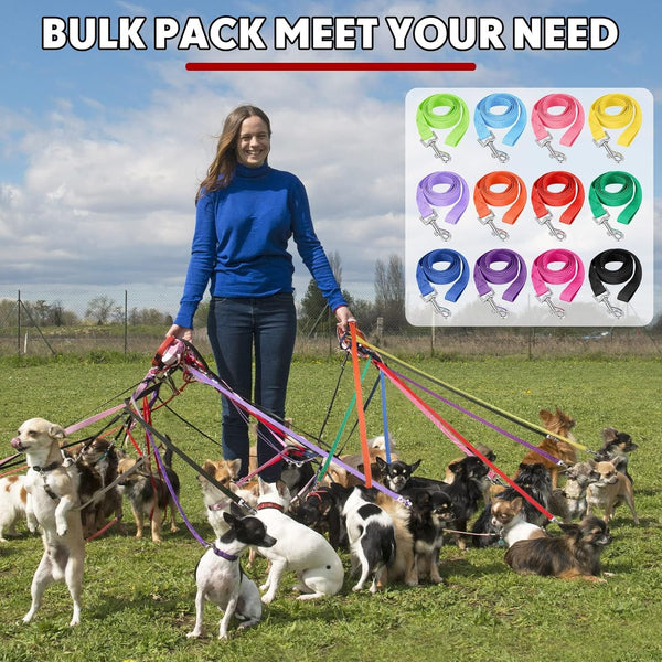 24 Pack Nylon Dog Training Leash Bulk 5 Ft Dog Leash for Small and Medium Puppy Traction Rope for Training, Play, Camping, or Backyard, 12 Assorted Colors(Vibrant Colors)5