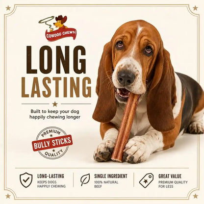 Cowdog Chews Beef Bully Stick: Odor-Free, Fully Digestible Beef Collagen Chews (5-7", 10 Count) - Natural, Grain-Free, Long-Lasting Collagen Bully Stick Substitute for All Dog Breeds3