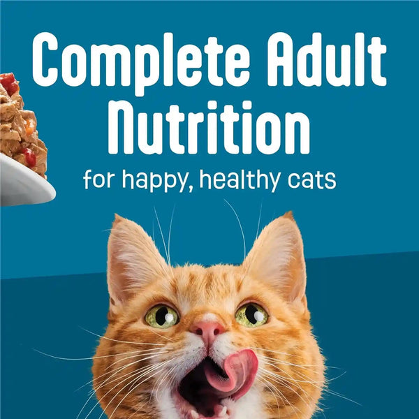 Purina Friskies Fully Load’D Wet Cat Food Variety Pack with Chicken, Salmon, or Tuna in Wet Cat Food Gravy - 5.5 Ounce (Pack of 12)8