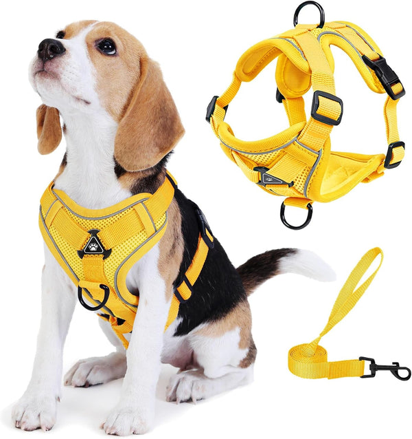 No Pull Dog Harness with Leash Set for Small Sized Dog, Reflective Adjustable No Choke Front Clip Cat Vest Harness with Breathable Mesh, Comfortable Soft Padded Pet Vest, Blue M10