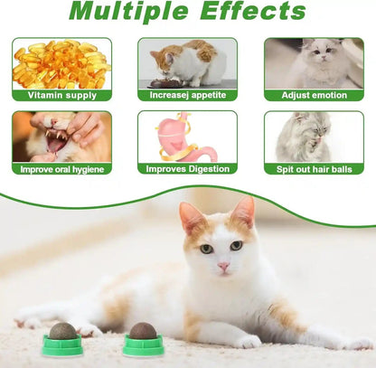 CCINEE 3PCS Catnip Balls for Cats Wall Catnip Toys Edible Cat Toys for Cat Lick Safe Healthy Kitten Chew Toys Teeth Cleaning Dental Cat Toys3