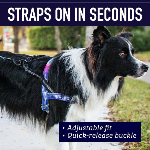 Leash Boss No Pull Dog Harness, Easy Walk for Small, Medium, and Large Pets, Reflective with Rear and Front Clip Attachment (Blanket Pattern, Medium)8