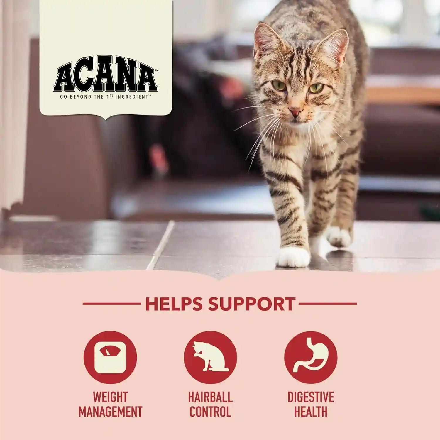 acana-dry-cat-food-for-indoor-cats-indoor-entree-chicken-turkey-4lb-bag-includes-probiotics-digestive-health-weight-management-free-run-poultry-worlds-finest-ingredients