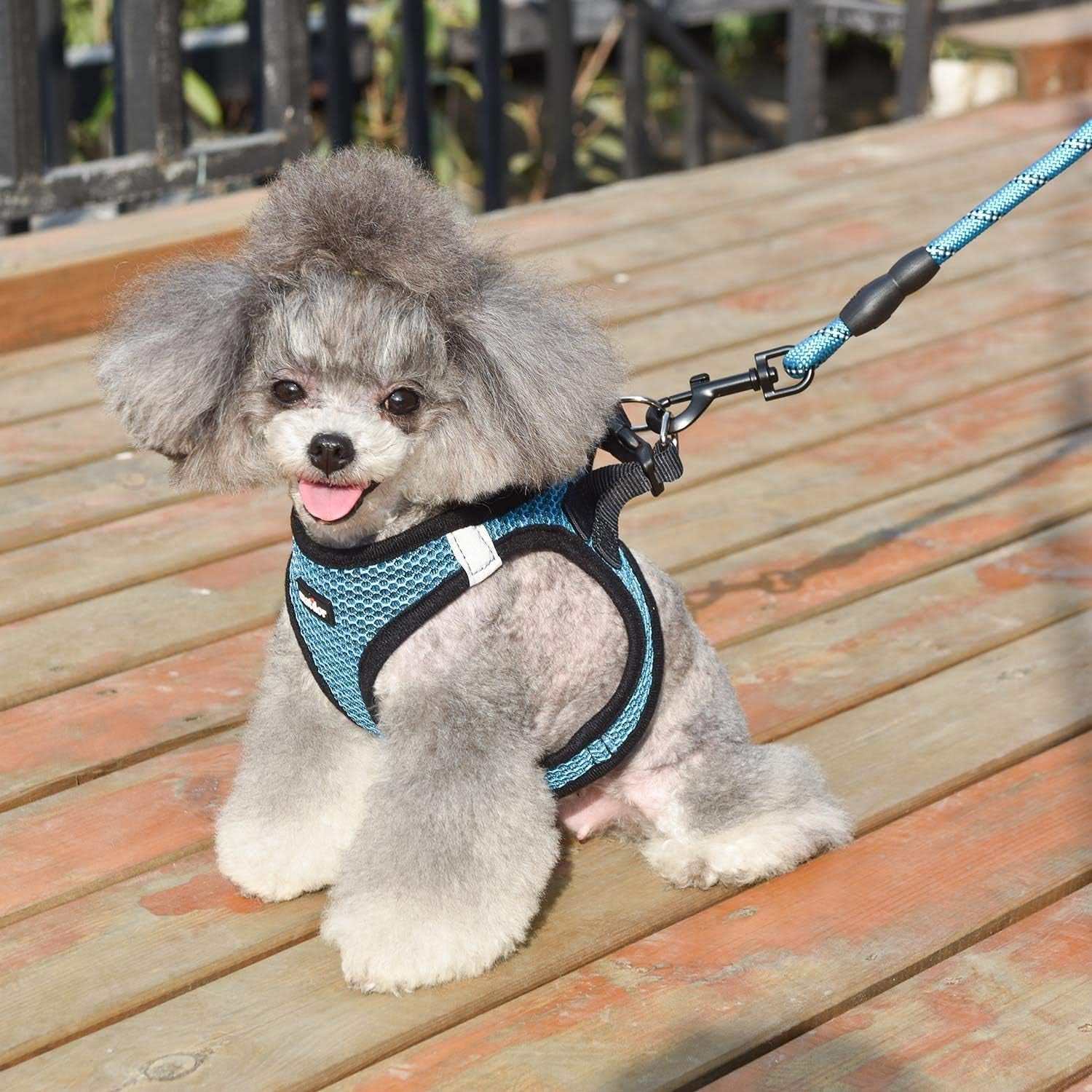 dog-harness-step-in-breathable-puppy-cat-dog-vest-harnesses-for-small-medium-dogs