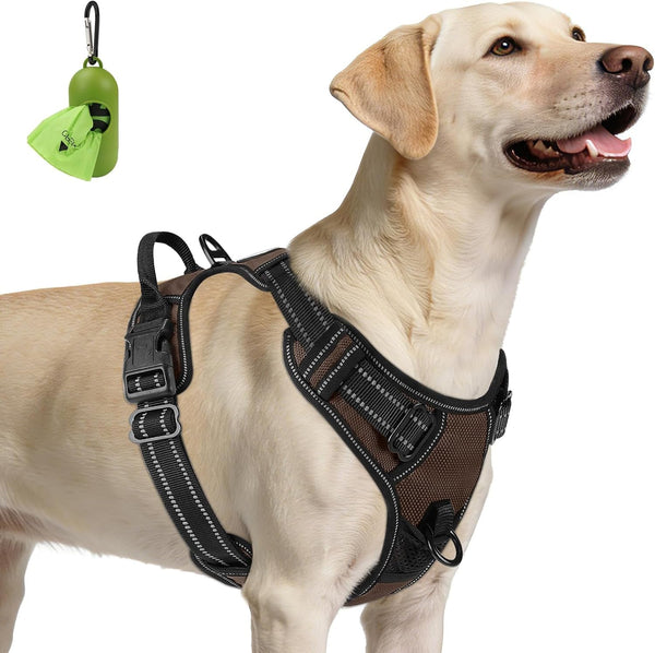 Joytale No Pull Dog Harness Medium Sized Dog, Front Clip, Black | Grab Handle for Instant Control, Padded & Adjustable Vest, Sturdy Metal D-Rings, for Safe Training & Daily Walking13