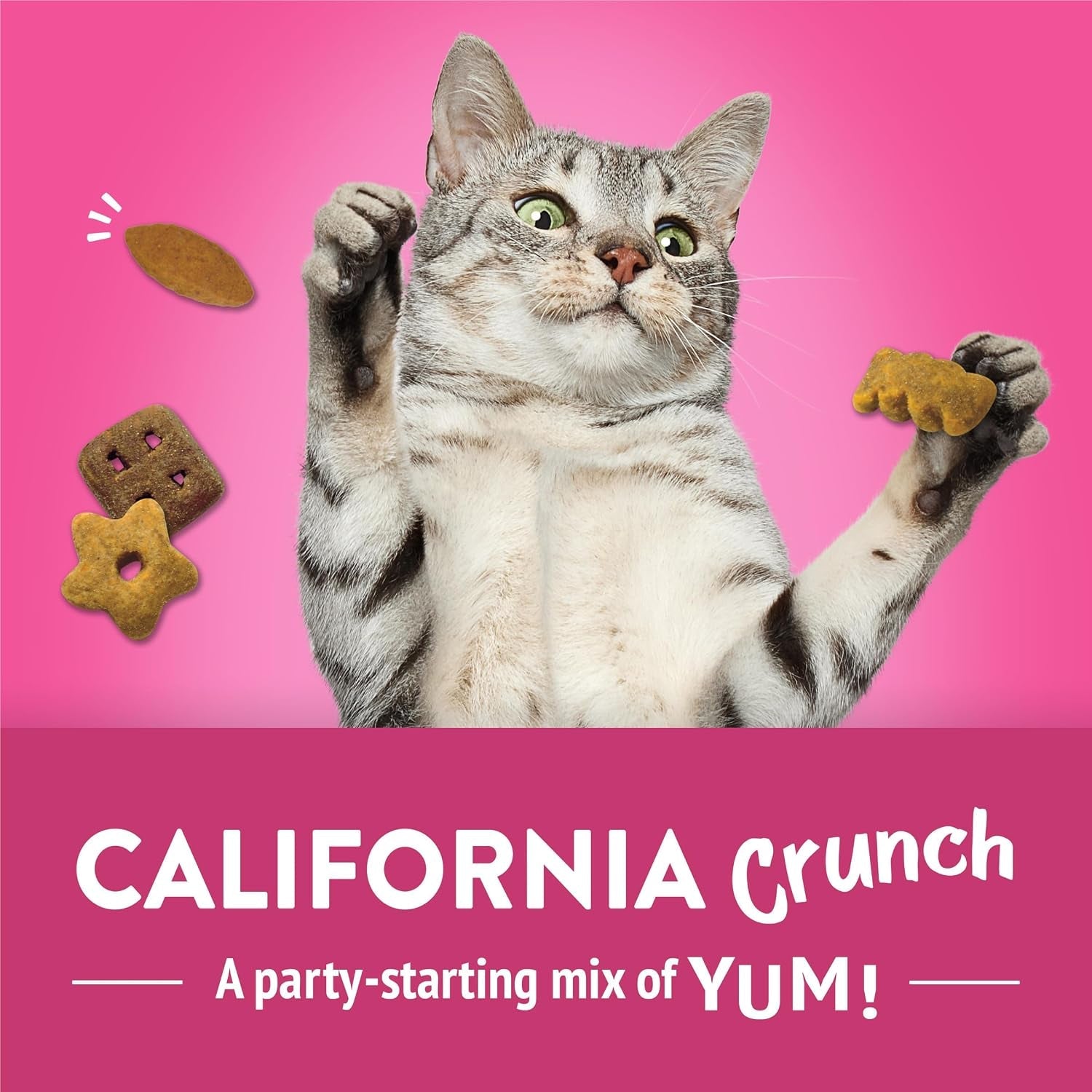 purina-friskies-party-mix-california-crunch-with-chicken-and-flavors-of-turkey-and-bacon-cat-treats-30-oz-canister