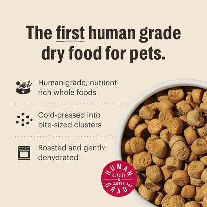 The Honest Kitchen Grain Free Beef & Superfoods Whole Food Clusters, Human Grade Dry Dog Food, Vet-Crafted Nutritional Support for Skin, Coat, Digestion & Overall Wellness, 5 Lb Bag7