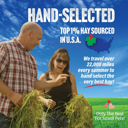 Small Pet Select Orchard Grass Hay Pet Food, 2 Lb.2
